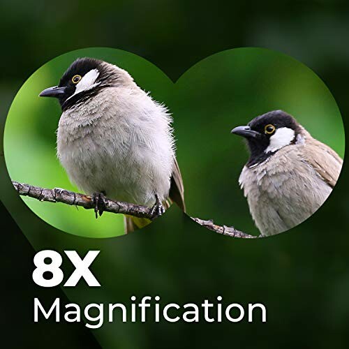 Bird on branch with 8x magnification comparison.