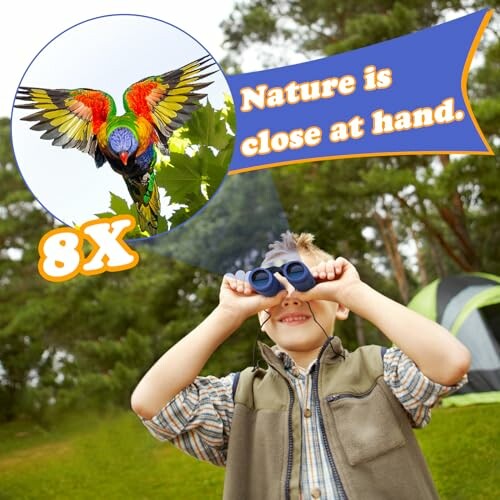 Boy with binoculars observing a colorful bird while camping.