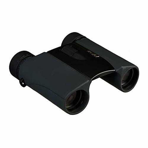 Compact black binoculars with foldable design