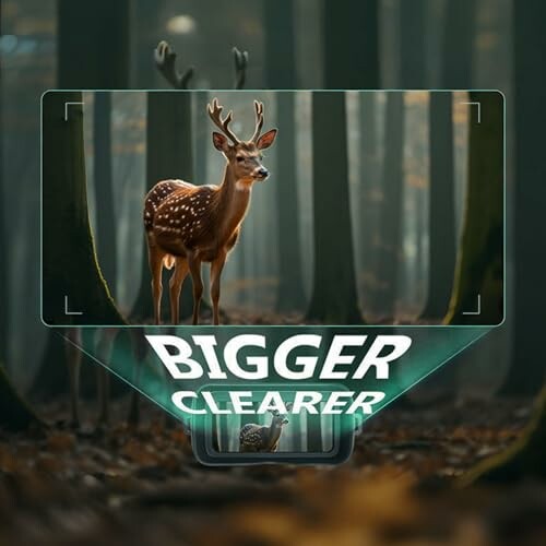 Deer in a forest with a focus on clarity.