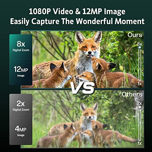 Comparison of fox family image quality with different zoom levels.
