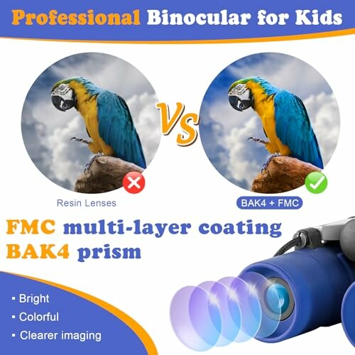 Comparison of binocular lens features with parrot images.