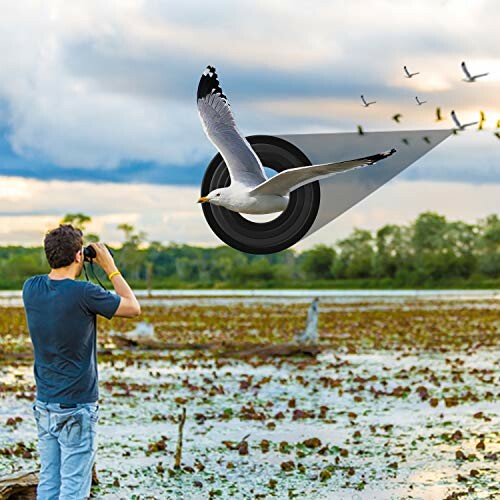 Photographer capturing a seagull with lens effect in nature.